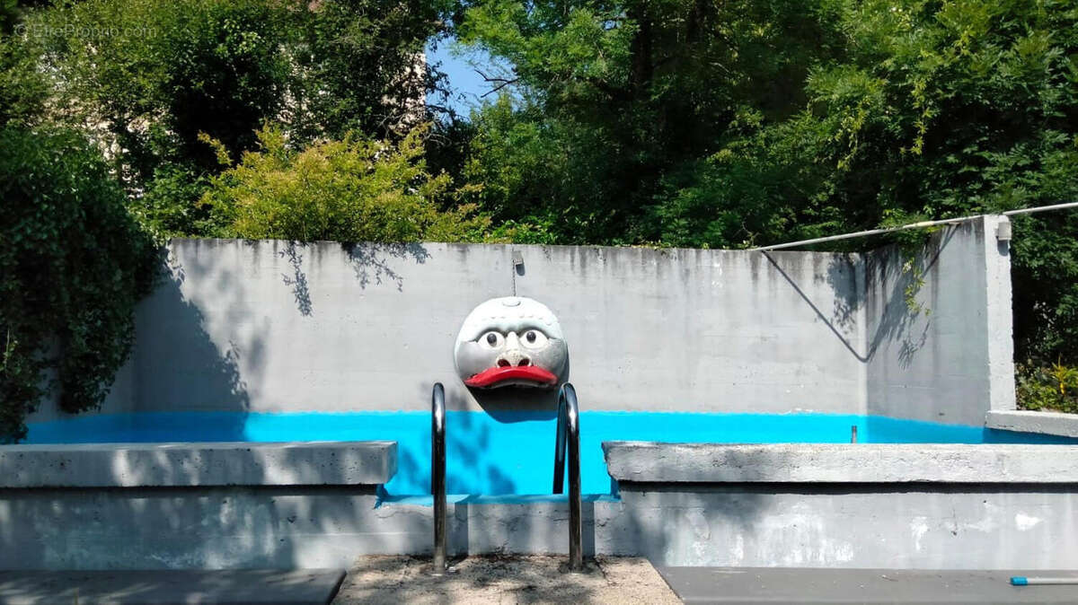 PISCINE - Maison à SAINT-JUNIEN