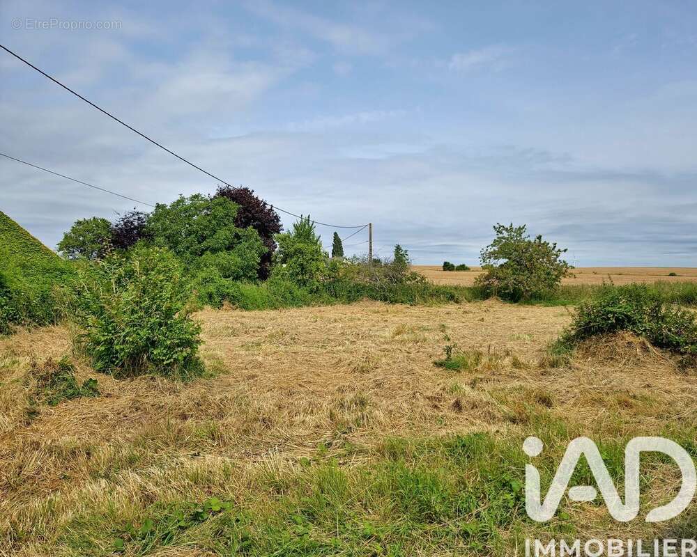 Terrain 2737 m² à Bouchy-Saint-Genest  - photo 5
