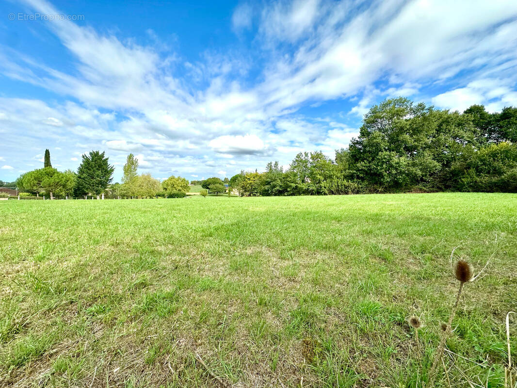Terrain à CADOURS