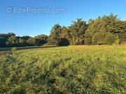 Terrain à DOLUS-D&#039;OLERON