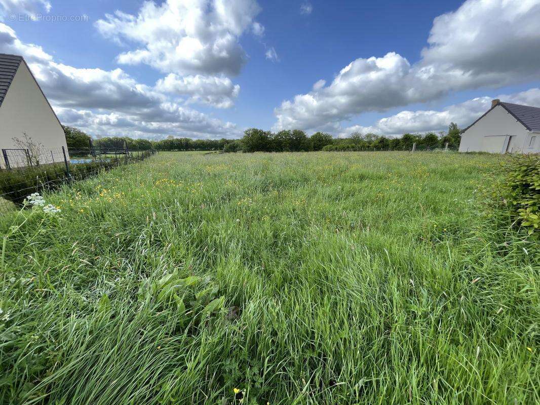 Terrain à MONDREPUIS