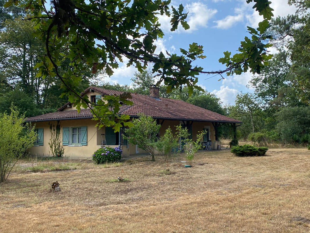 Maison à SABRES