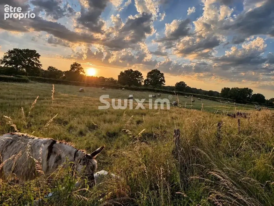 Un domaine à imaginer – 4 bâtiments sur près de 4 hectares clos - photo 17