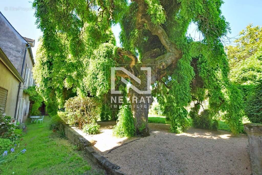 Maison à MERCUREY