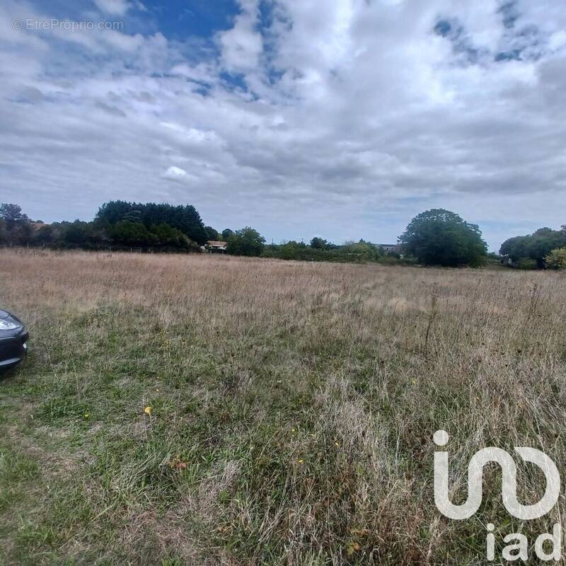 Photo 1 - Terrain à BELLUIRE
