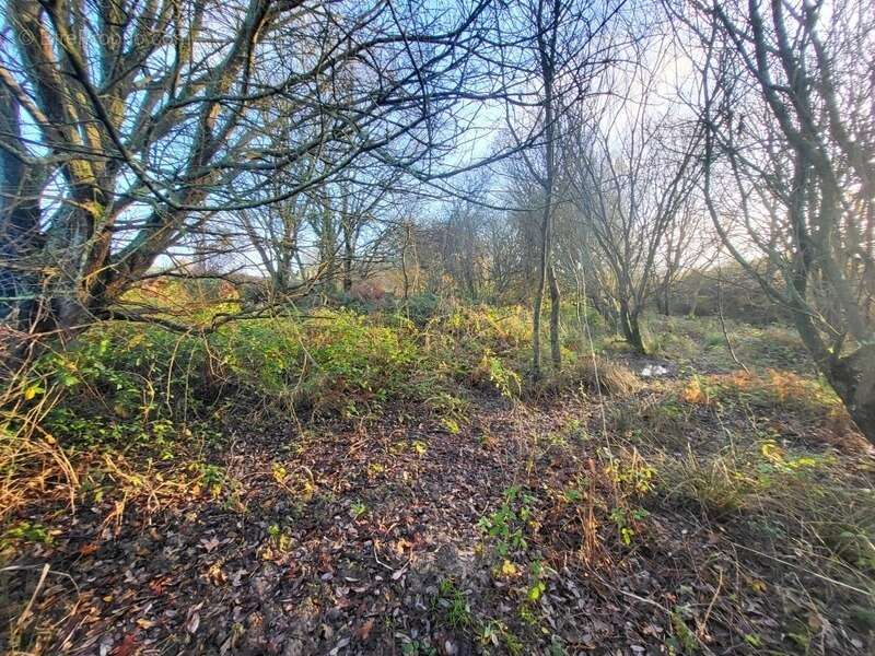 Terrain à TELGRUC-SUR-MER