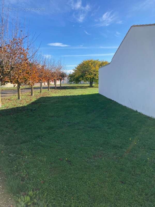 Terrain à SAINT-ROGATIEN