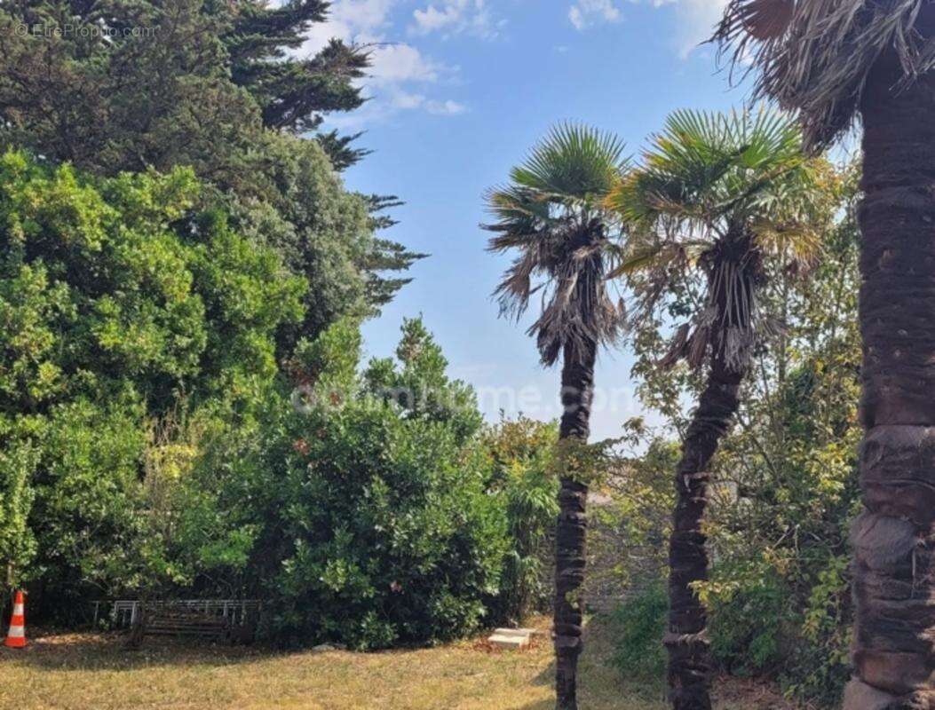 Terrain à vendre  LE BOIS PLAGE EN RE (17) - photo 2