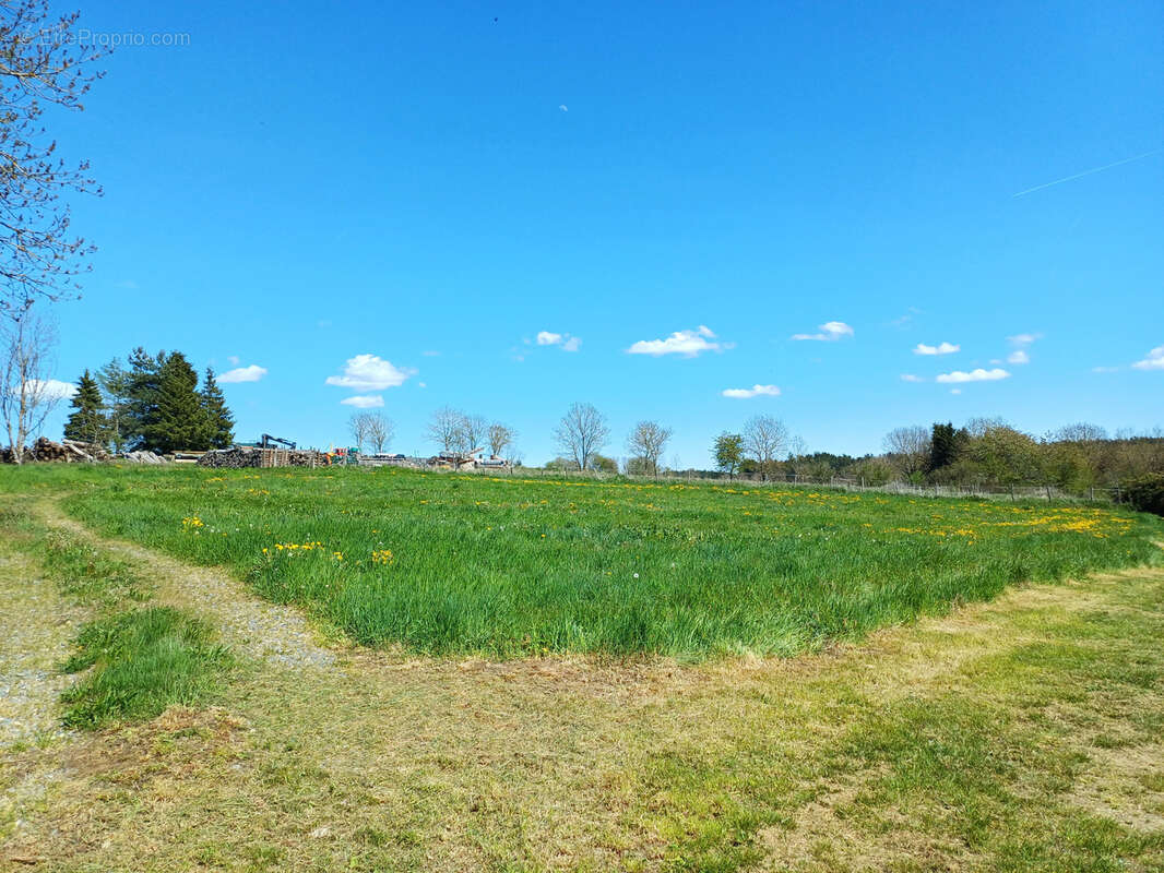 Terrain à CHOMELIX