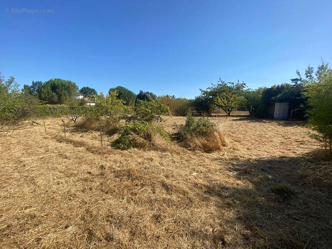 Terrain Villemade - photo 2