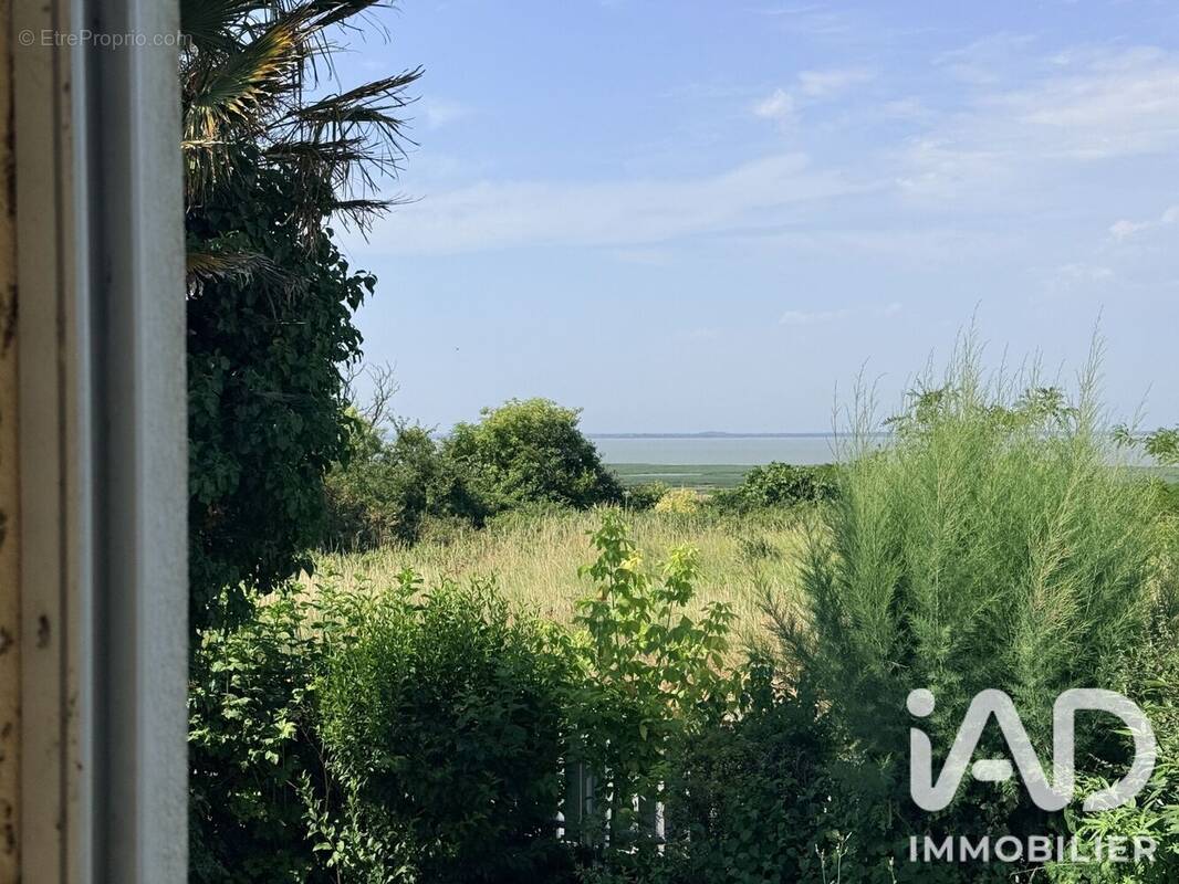 Photo 1 - Maison à MORTAGNE-SUR-GIRONDE