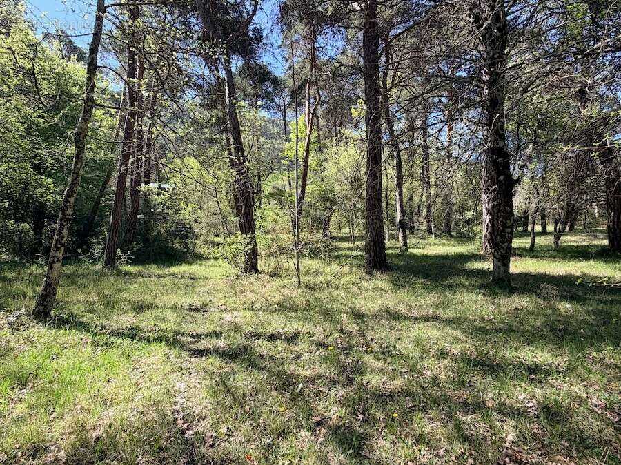 Terrain à PLAN-D'AUPS-SAINTE-BAUME