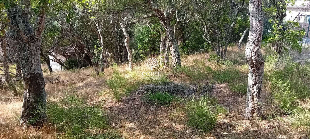 Terrain à SOTTA