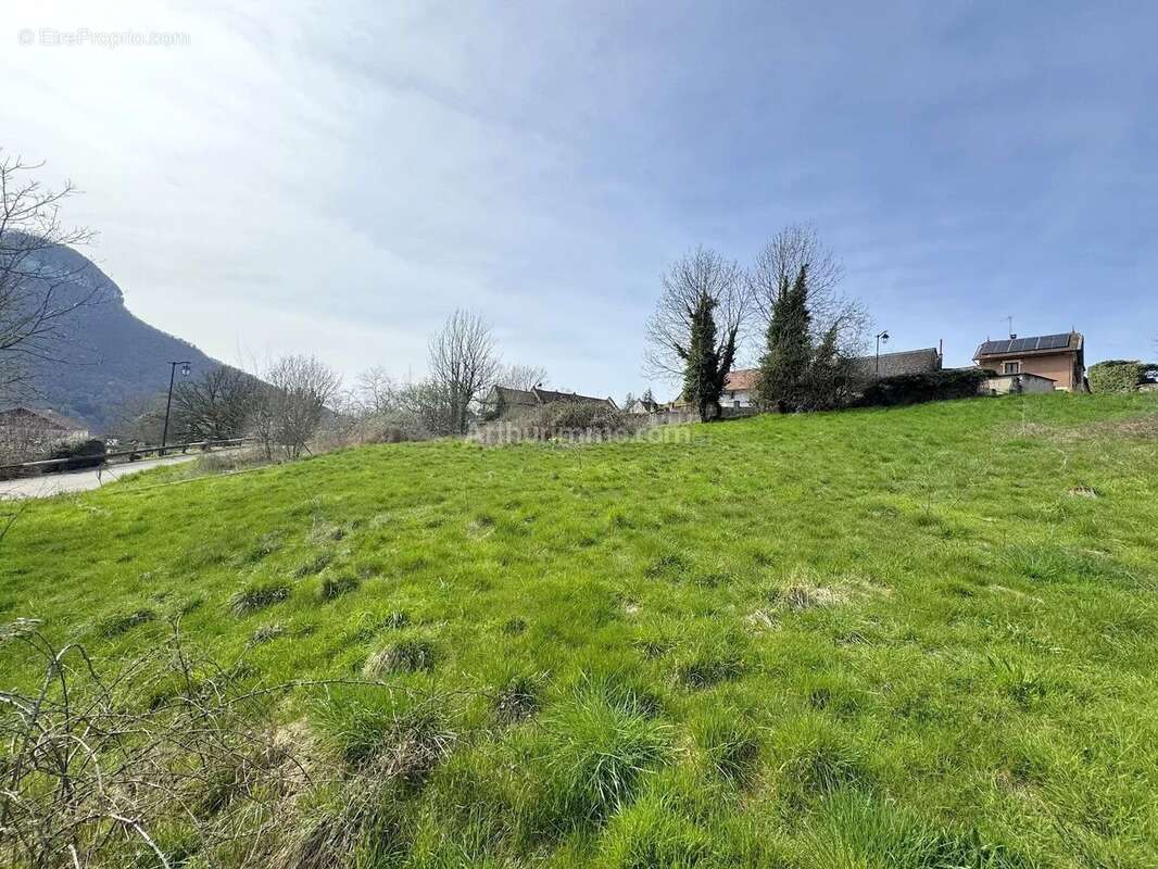 Vente Terrain Premeyzel(01300) 85 000ï¿œ - photo 4