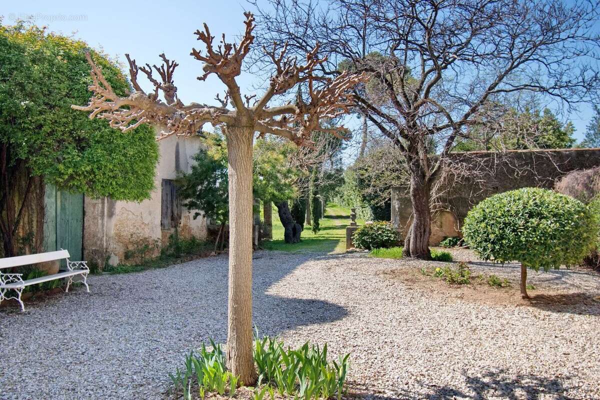 Photo 3 - Maison à SAINT-ANDRE-DE-SANGONIS