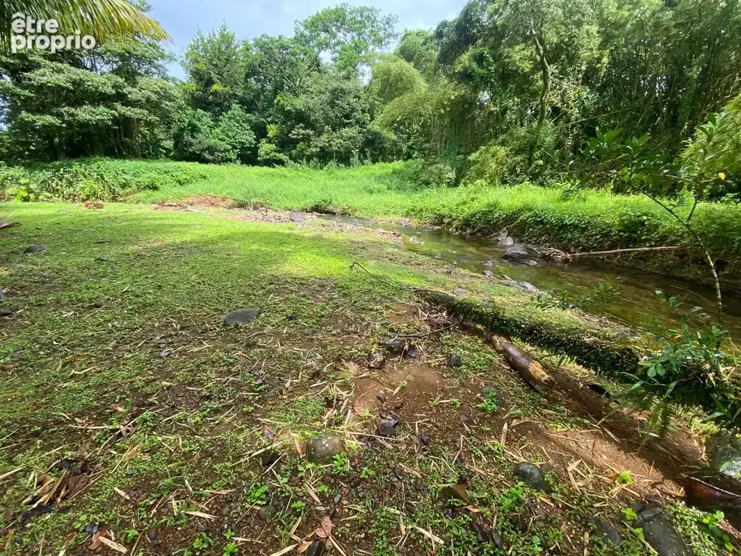 Grande propriété – Le Morne-Rouge - photo 5