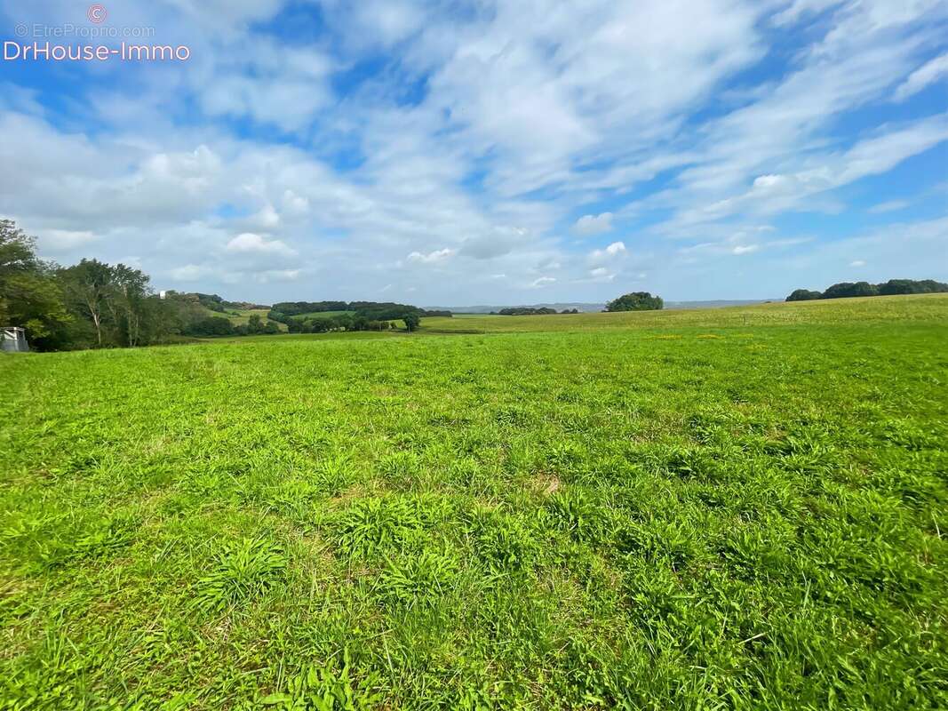 Terrain à BIDACHE