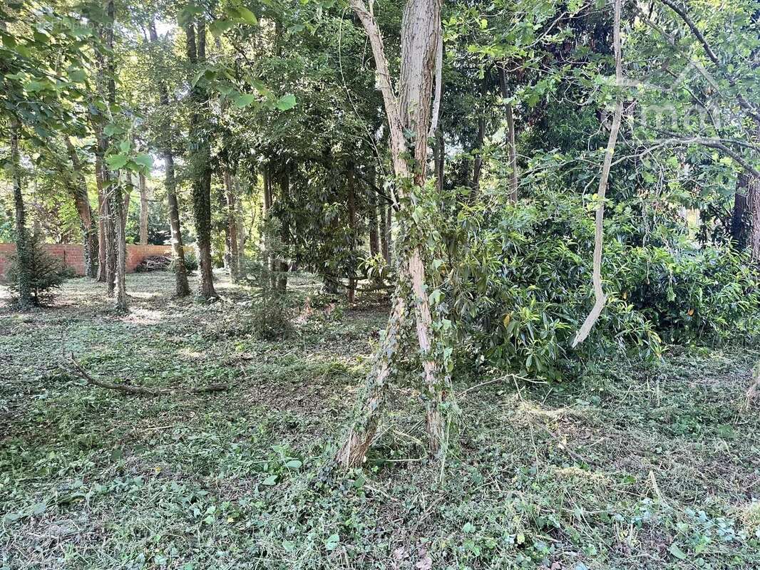 Terrain à CONGIS-SUR-THEROUANNE