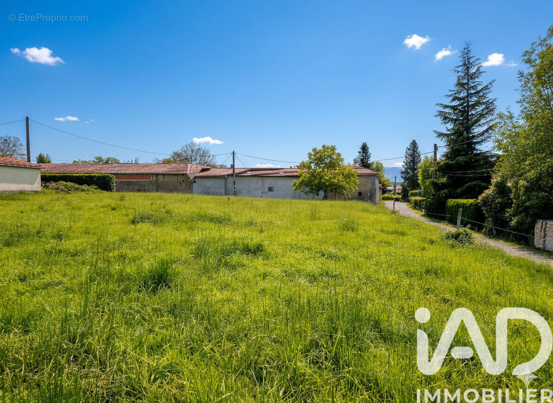 Photo 1 - Terrain à BEGOLE