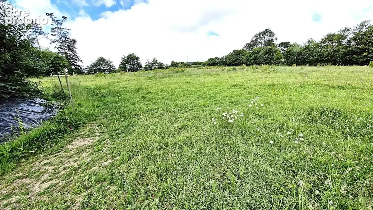 Propriete magnifiquement renovee avec 1,8 hectares - photo 14