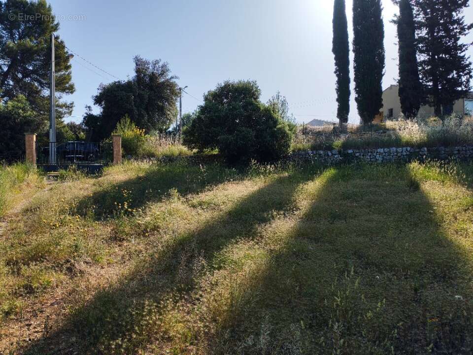 Terrain à LORGUES