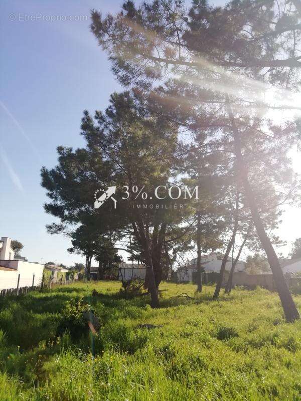 Terrain à OLONNE-SUR-MER