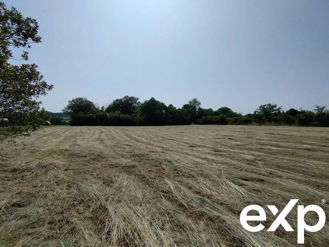 Terrain à CASTELNAU-MONTRATIER