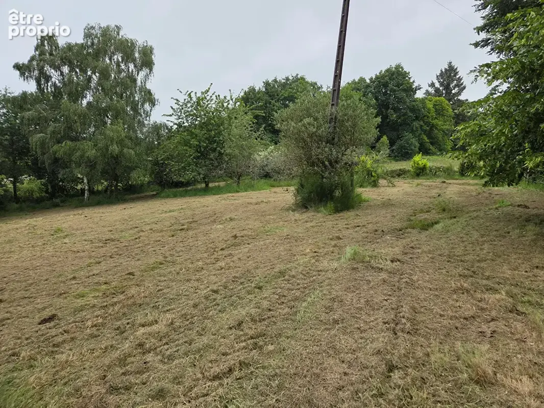 Terrain constructible de 2402m² - photo 4