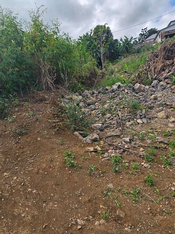 Terrain à L&#039;ETANG-SALE