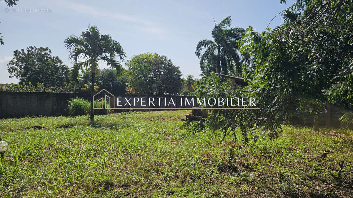 Maison à REMIRE-MONTJOLY