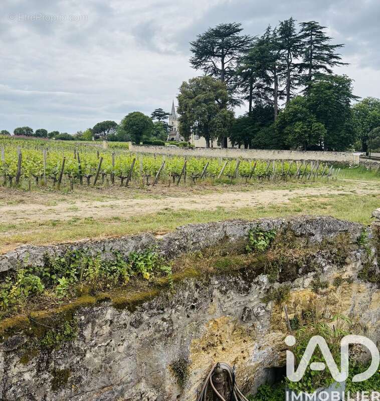 Photo 2 - Maison à SAINT-EMILION