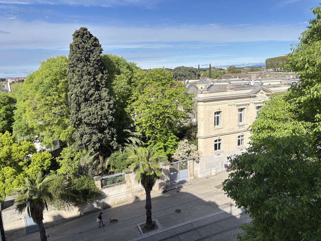 Appartement à MONTPELLIER