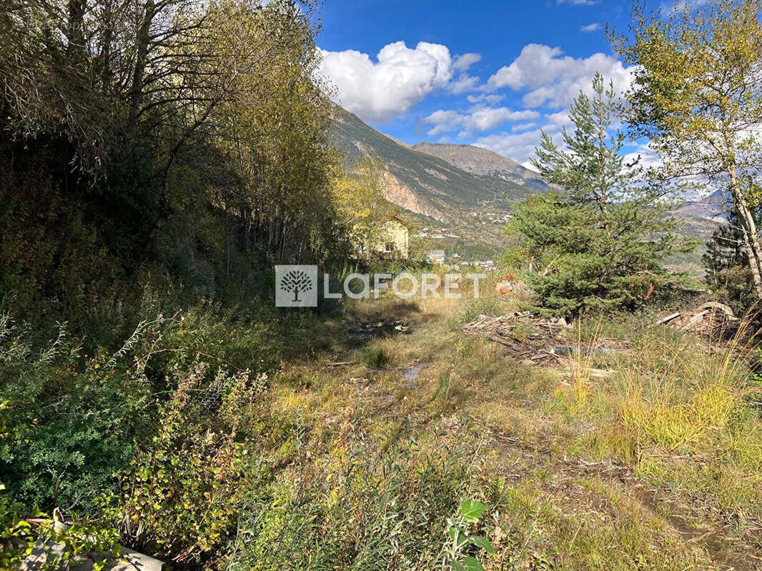 Terrain à CHATEAUROUX-LES-ALPES