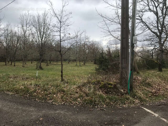 Terrain à CASTELNAU-MONTRATIER