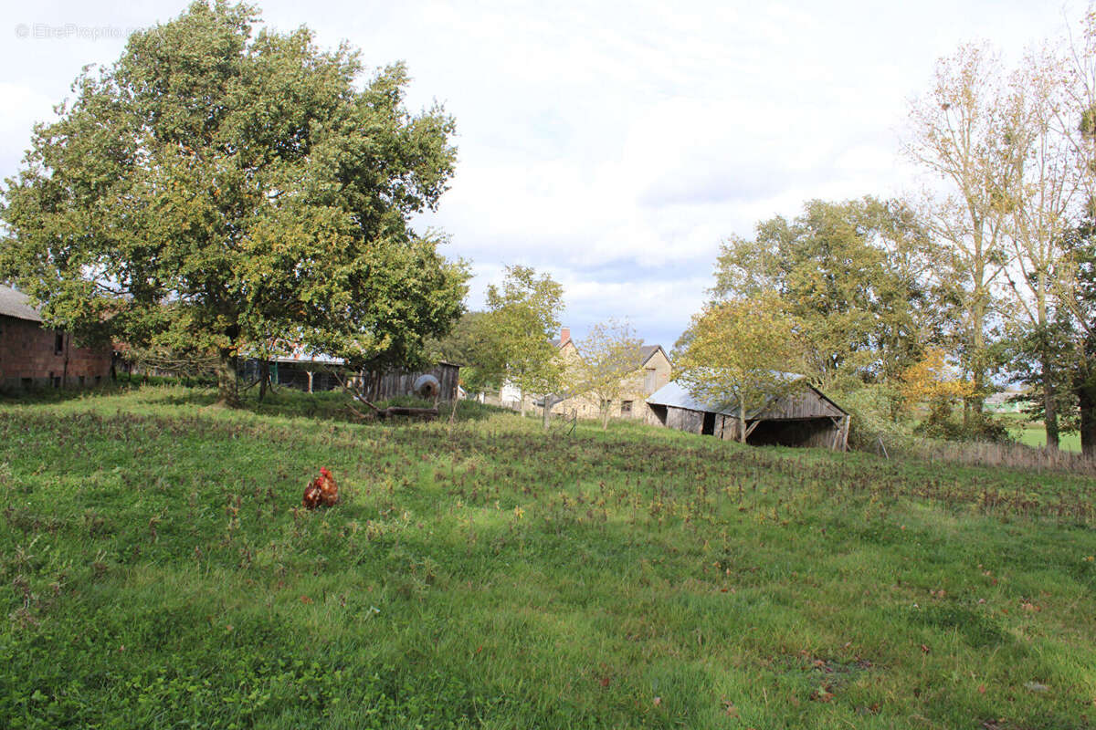 Maison à LA GUERCHE-DE-BRETAGNE