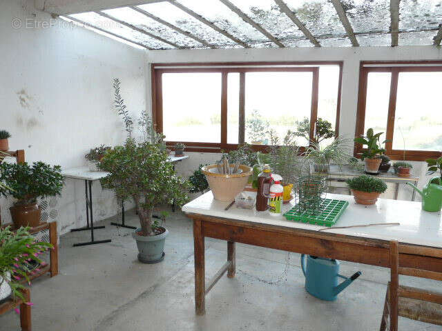 Agen nerac bel enclos maison dependances gros potentiel - photo 12