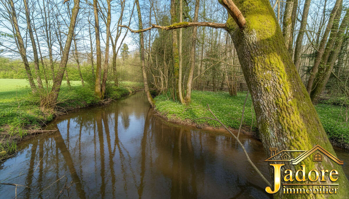 Maison à SAINT-DIE-DES-VOSGES