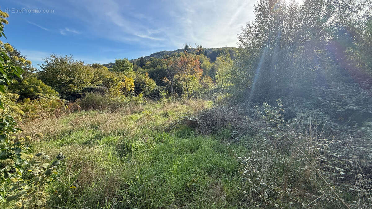 Maison à SAINTE-FEYRE