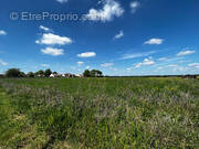 Terrain à SEPTEUIL