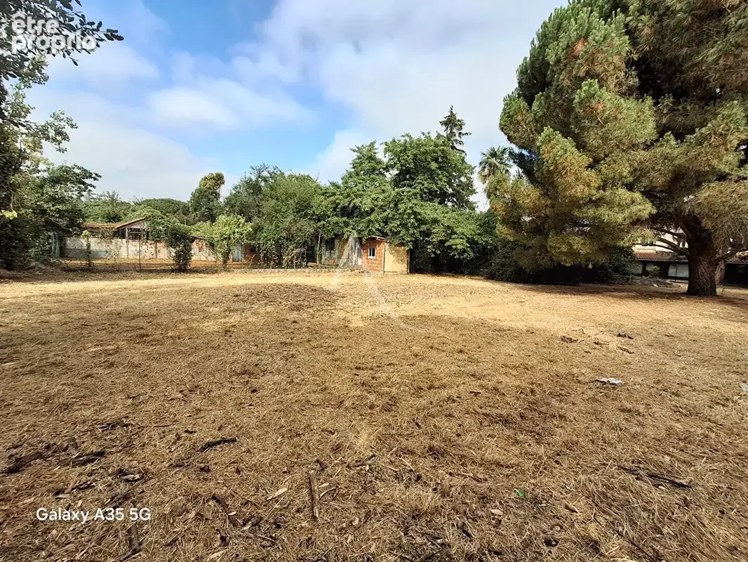 Maison L Isle Jourdain 162 m² sur 2300 m² de terrain - photo 15