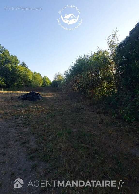 Terrain constructible 1 292 m² + grange 140 m² – Orléat - photo 5