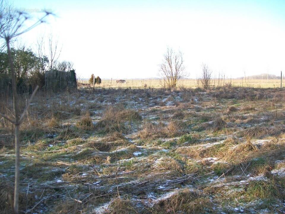 Terrain à BURY