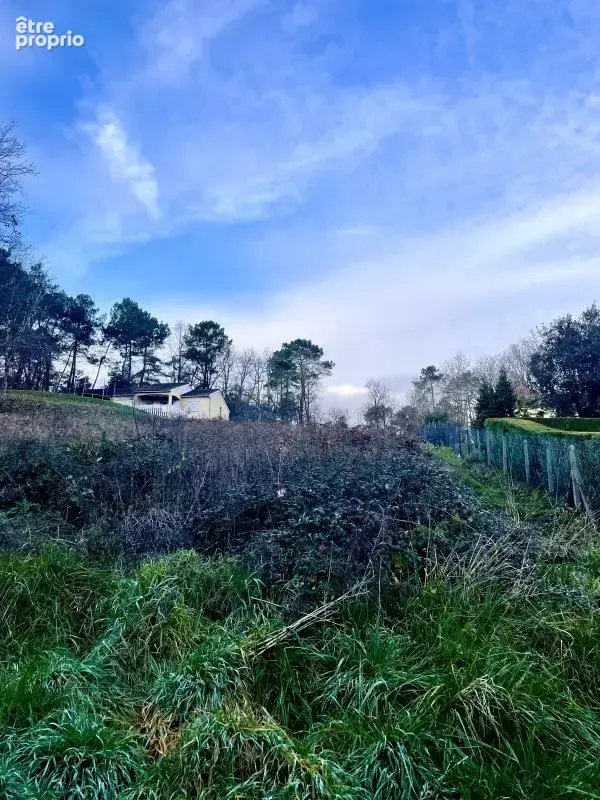 Photo Terrain à Chancelade au prix de 66 000€
