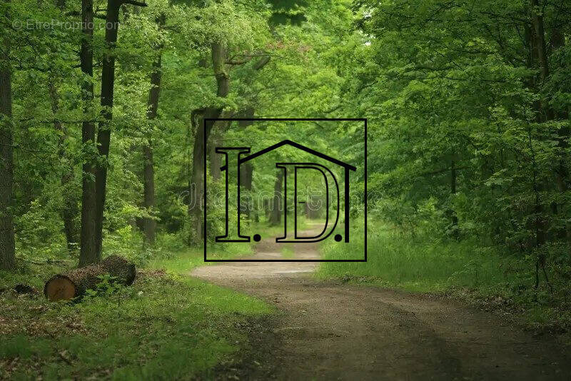 BOIS - Terrain à CREYSSE