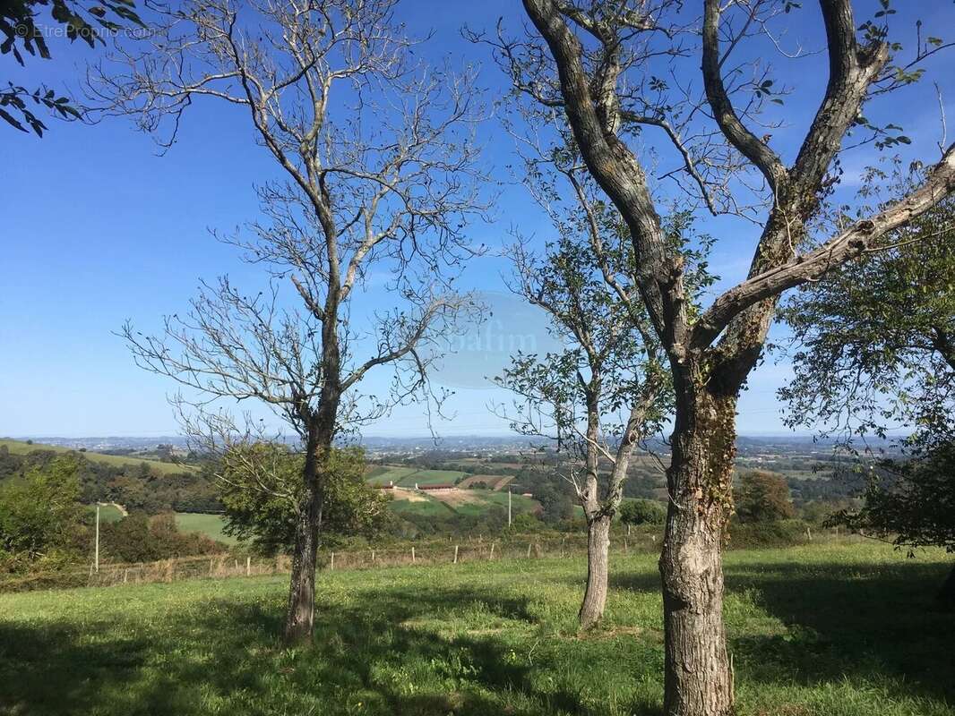 Maison à SAINT-PALAIS