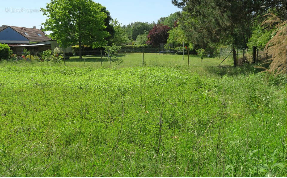 Terrain à SURVILLIERS