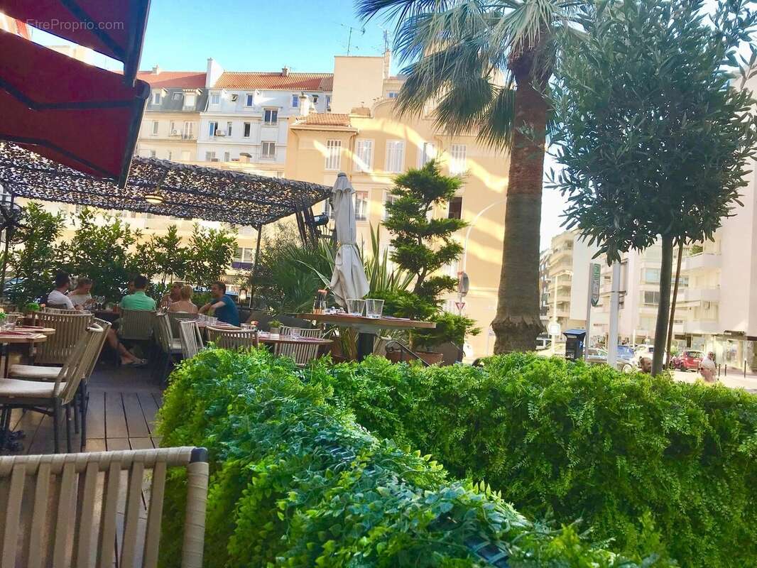 Cannes rue d antibes  brasserie restaurant - photo 10