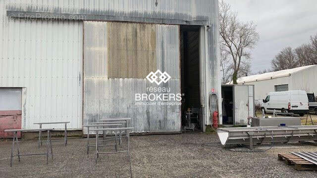 côté sud - Commerce à JONQUIERES