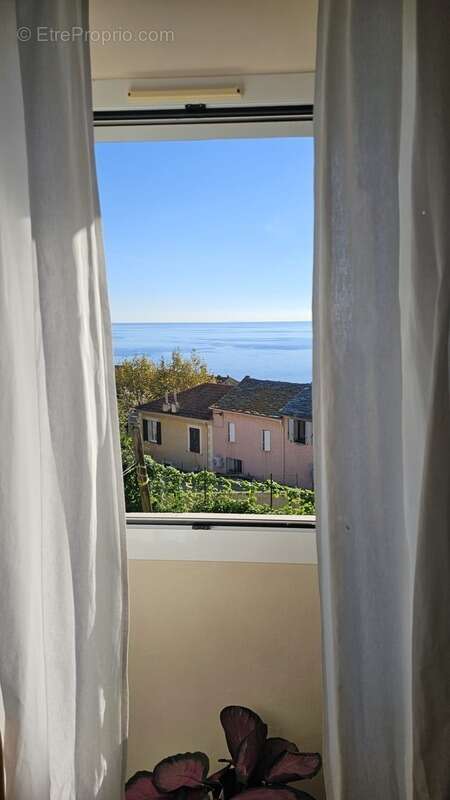 Maison à SAN-MARTINO-DI-LOTA