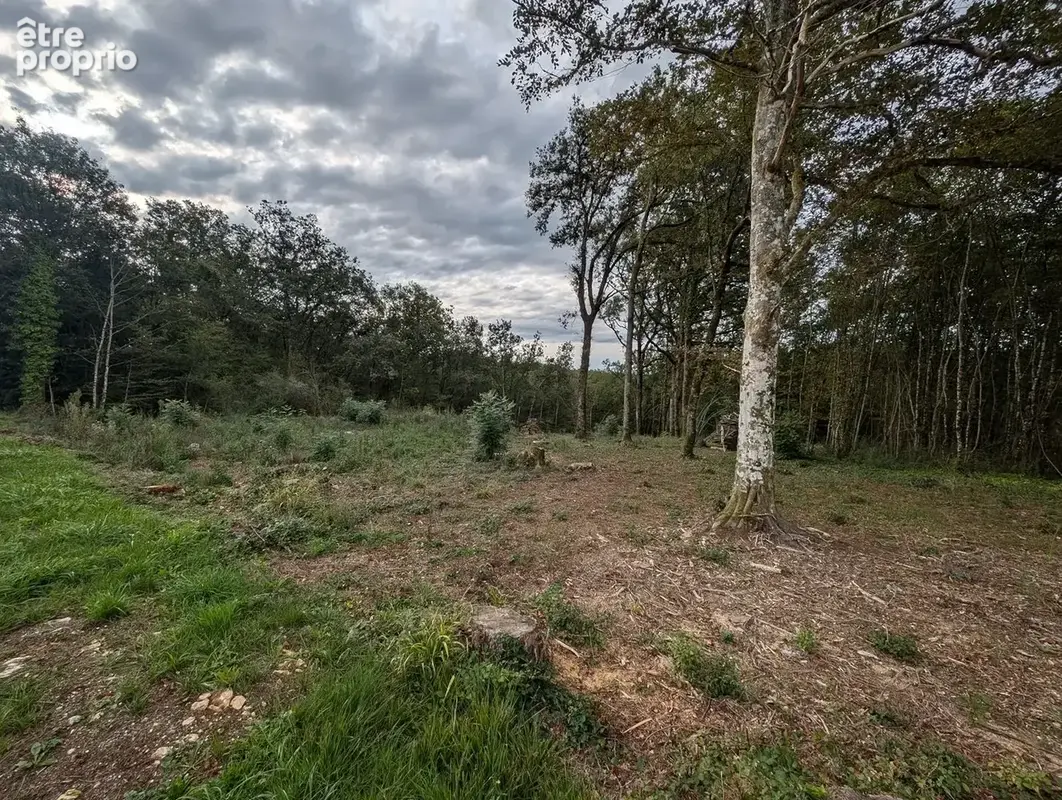 Terrain 2814 m² à La Cassagne  - photo 2